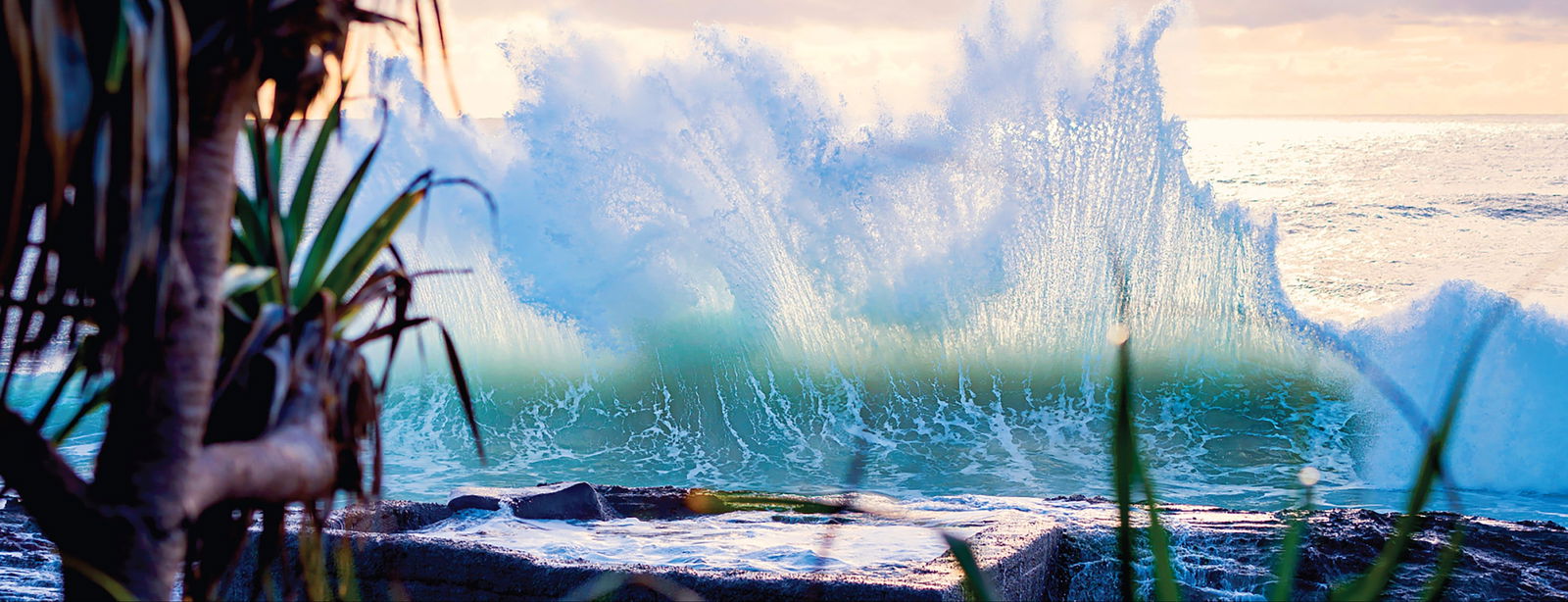 Tugun QLD Holiday Great Ocean Road