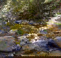 Washpool Walking Track - Holiday Great Ocean Road