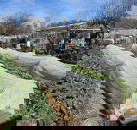 Wynlen House Tour a Unique Urban Regenerative Farm and Market Garden