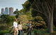 Aboriginal Heritage Walk - thumb 0