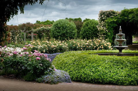 Alowyn Gardens And Nursery - Holiday Great Ocean Road 1