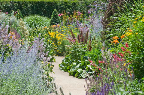 Alowyn Gardens And Nursery - Holiday Great Ocean Road 2