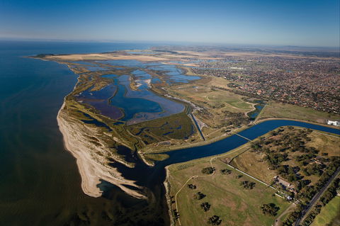 Cheetham Wetlands - Holiday Great Ocean Road 0