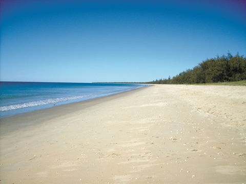 Coral Coast Pathways (Woodgate Beach Section) - Holiday Great Ocean Road 0