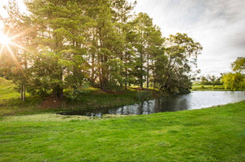 Curlewis Golf Club & The Range At Curlewis The Bellarine - Holiday Great Ocean Road 1