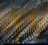 Hastings Caves and Thermal Springs - Holiday Great Ocean Road