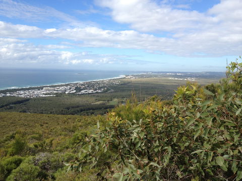 Mount Coolum National Park - Holiday Great Ocean Road 0