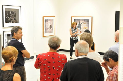 Pine Rivers Art Gallery - Holiday Great Ocean Road 1