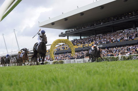 Rosehill Gardens Racecourse - Holiday Great Ocean Road 1