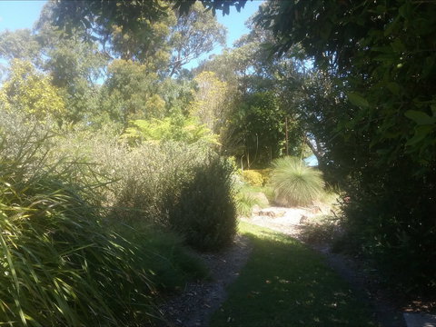 Shoalhaven Heads Native Botanic Garden - Holiday Great Ocean Road 2