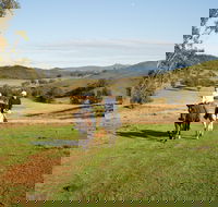 Tamworth and Kootingal Horse Riding Adventures