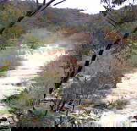 The Falls Water Falls - Holiday Great Ocean Road