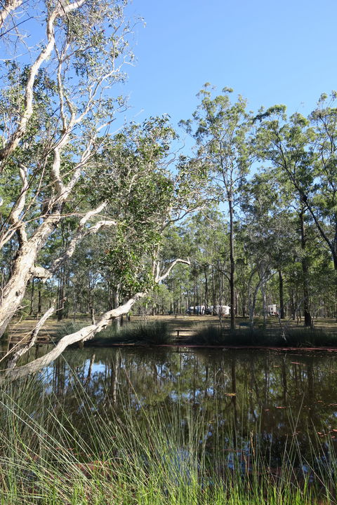 Wongi State Forest - Holiday Great Ocean Road 0