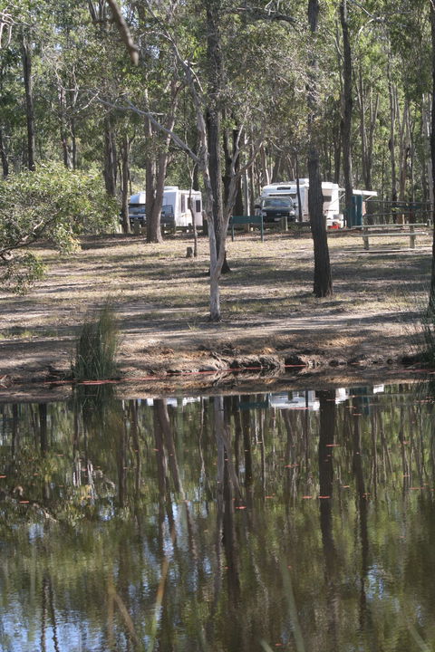 Wongi State Forest - Holiday Great Ocean Road 1