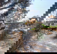 Zambi Wildlife Retreat - Holiday Great Ocean Road