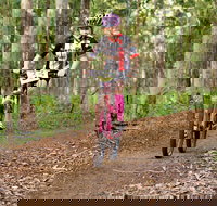 Bom Bom State Forest Mountain Bike Trails - Holiday Great Ocean Road