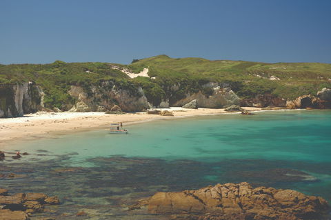 Broughton Island - Holiday Great Ocean Road 1