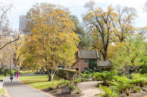 Cooks' Cottage - Holiday Great Ocean Road 1