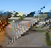 Darkes Forest Riding Ranch - Holiday Great Ocean Road