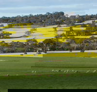 Fini Olives - Holiday Great Ocean Road