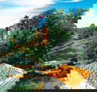 Gayndah's Big Orange