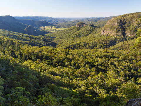 Gold Coast Hinterland Great Walk - Holiday Great Ocean Road 0