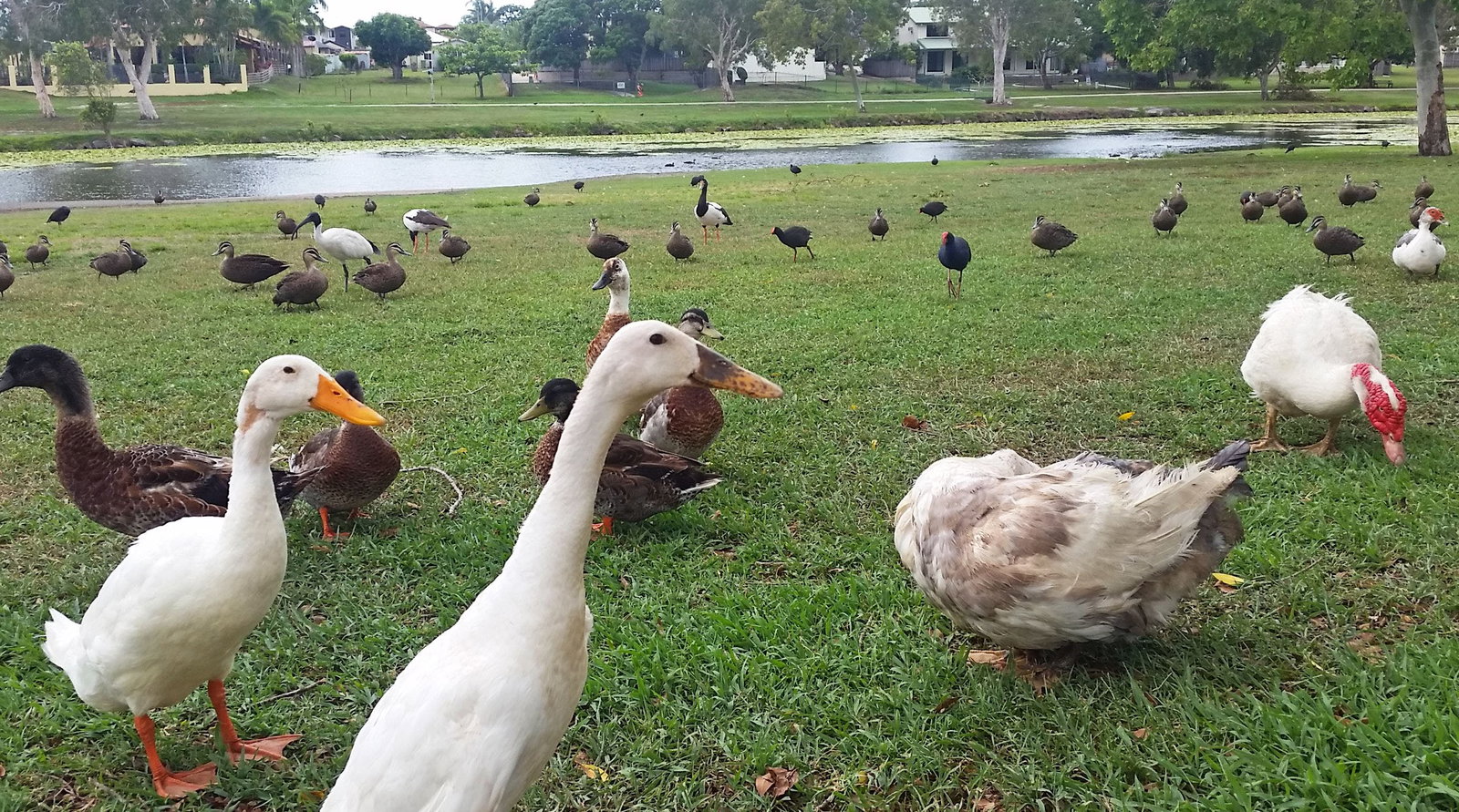 Holiday Great Ocean Road