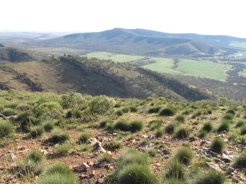 Horseshoe Rim 4WD Adventure Track - Holiday Great Ocean Road 0