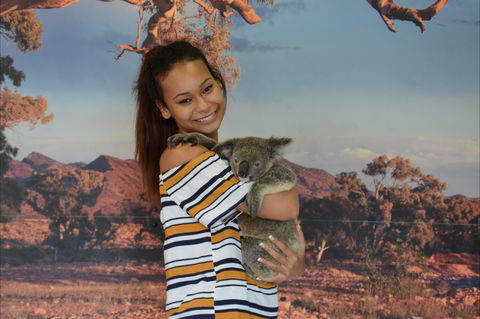 Kuranda Koala Gardens - Holiday Great Ocean Road 0