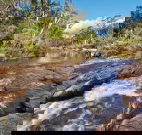 Little Dandahra Creek Walking Track - Holiday Great Ocean Road
