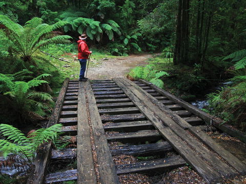 Montezuma Falls - Holiday Great Ocean Road 0