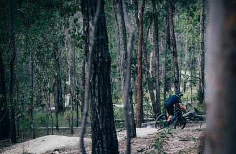 Old Tambo Downhill Mountain Bike Track - Holiday Great Ocean Road 0