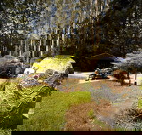 The Pines Picnic Area - Holiday Great Ocean Road