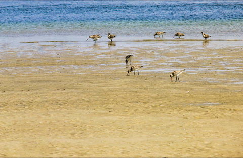 Towra Beach - Holiday Great Ocean Road 0