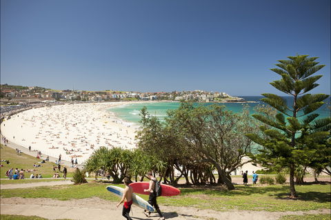 Bondi To Coogee Coastal Walk - Holiday Great Ocean Road 0