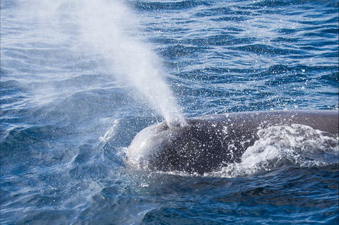 Bremer Bay Canyon - Holiday Great Ocean Road 0