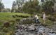 Canungra - thumb 2