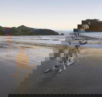 Cape Hillsborough National Park - Holiday Great Ocean Road