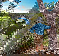 Corkwood and Scribbly Gum Walking Track - Holiday Great Ocean Road