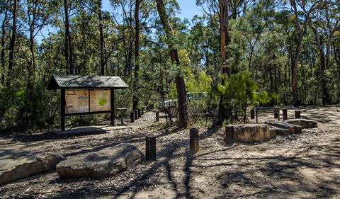Couridjah Corridor Walk - Holiday Great Ocean Road 0