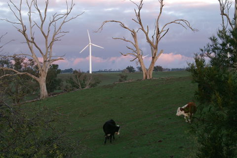 Crookwell Wind Farm - Holiday Great Ocean Road 1