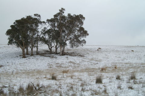 Crookwell Wind Farm - Holiday Great Ocean Road 2