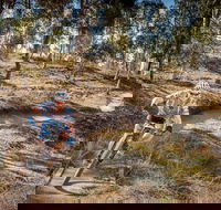 Cycle Mogo State Forest - Holiday Great Ocean Road