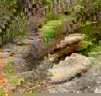 Mount Olive Trail - Holiday Great Ocean Road
