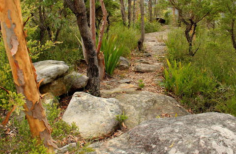 Mount Olive Trail - Holiday Great Ocean Road 0