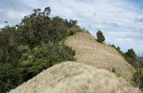 Pieries Peak Walking Track - Holiday Great Ocean Road 0