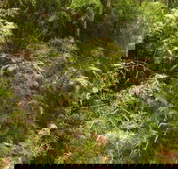 Powder Magazine walking track