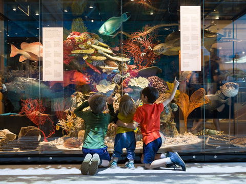 Queensland Museum - Holiday Great Ocean Road 1