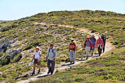 The Sole Walk At Hillocks Drive - Holiday Great Ocean Road 0