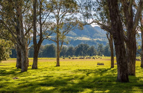 Coast To The Highlands Scenic Drive – Kangaroo Valley - Holiday Great Ocean Road 0